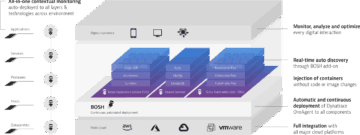 Dynatrace vmware tanzu diagram