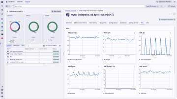 Screenshot: Gestisci le prestazioni
