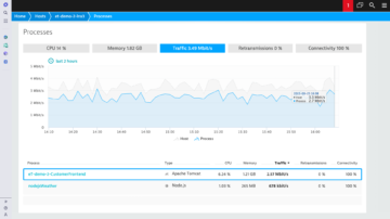 Process info in Dynatrace screenshot