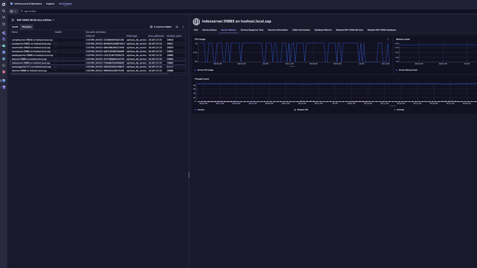 The SAP HANA DB Services in the Infrastructure & Operations App