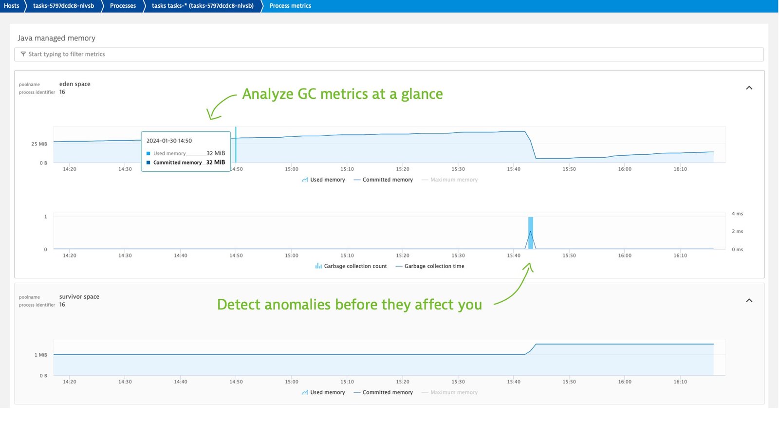Detect garbage collection and memory problems