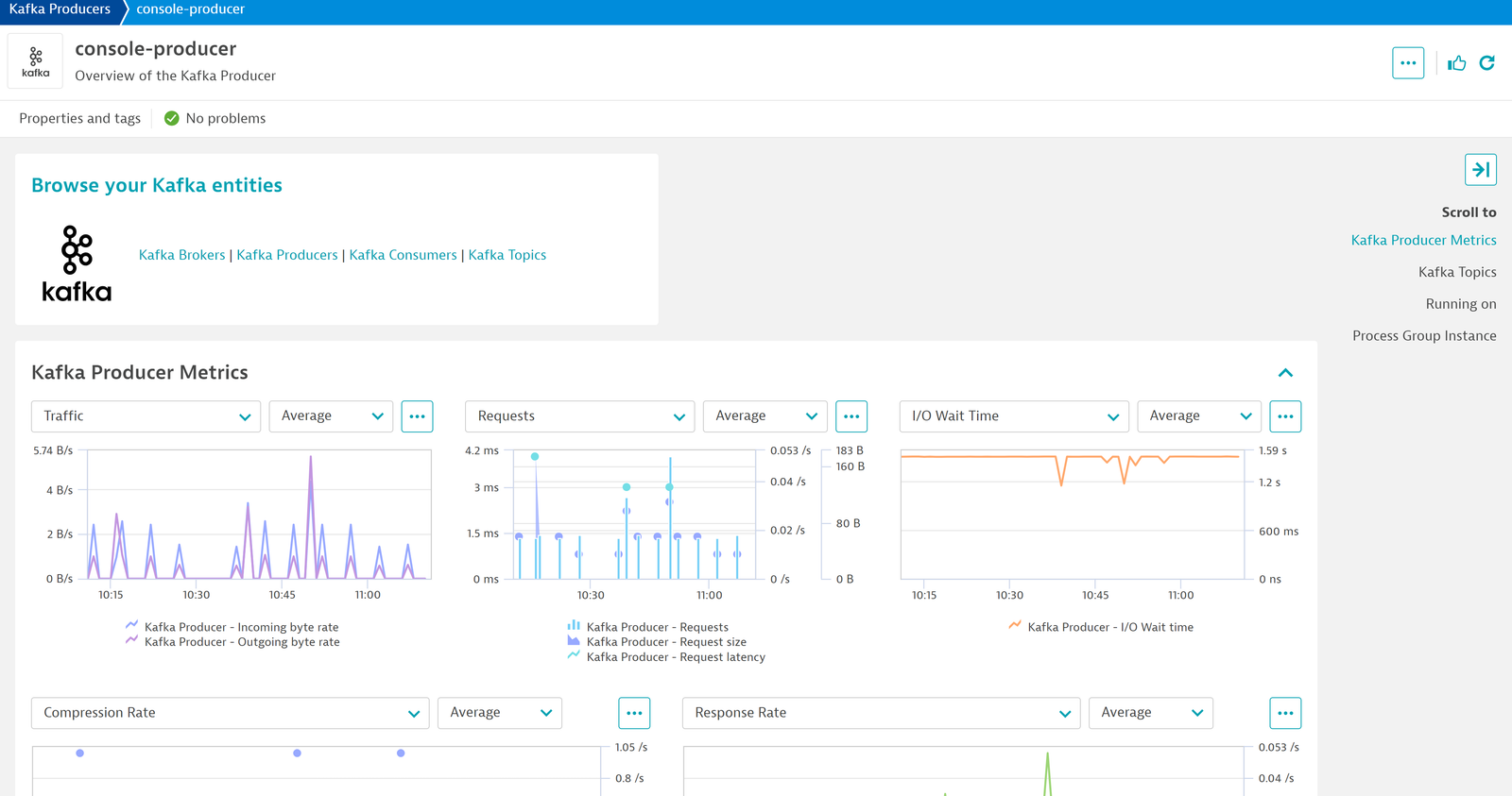 Dedicated screens also for your Kafka producers, consumers and topics.