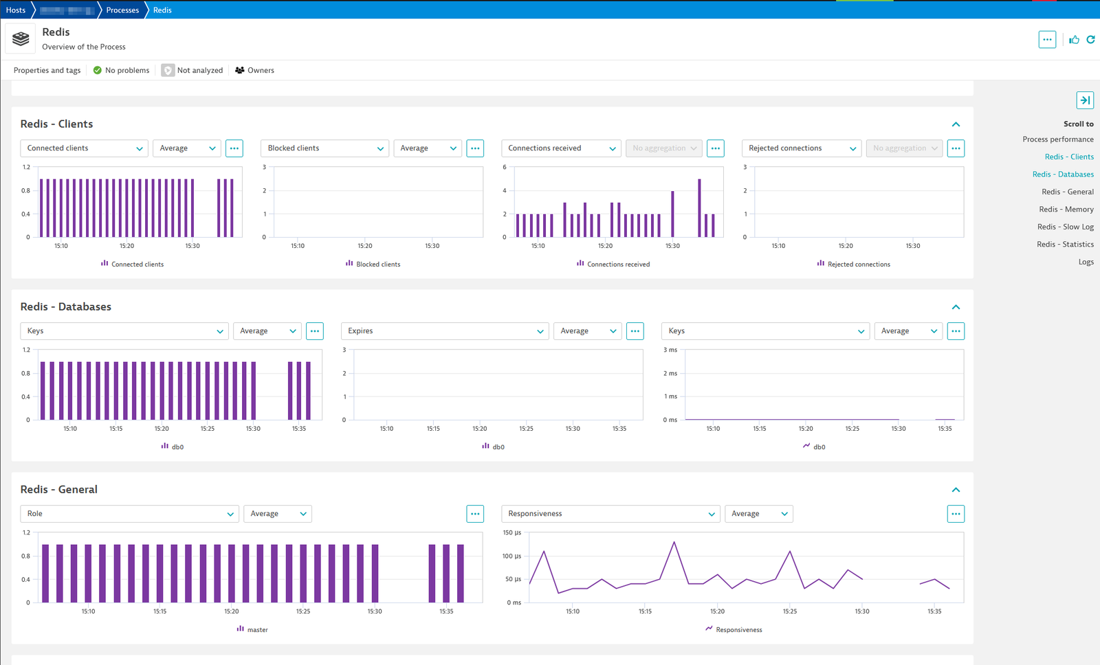 A screen showing several Redis metrics including client, database, and general information.