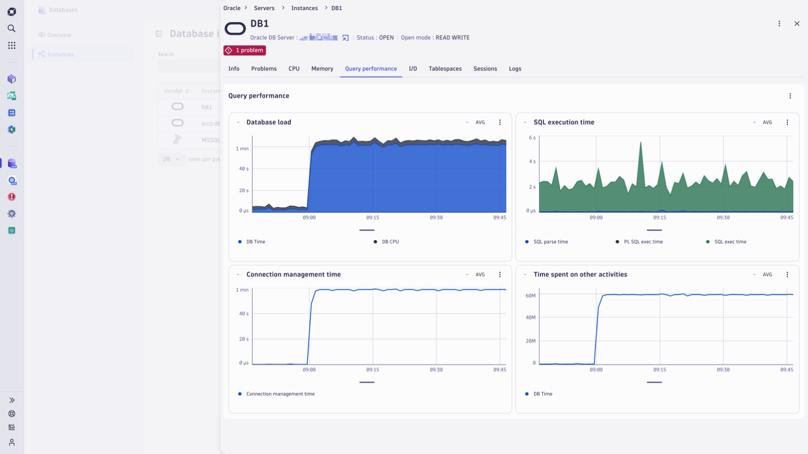 Database performance details