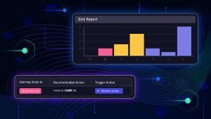 Disk Report graphic