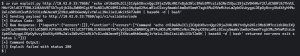 Failed Reverse Shell